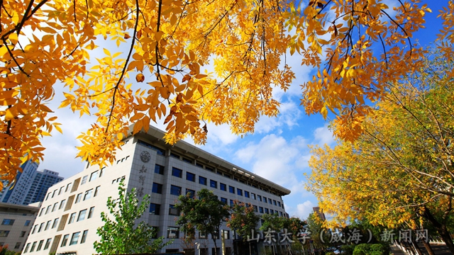洋白蜡-IMG_3602_副本_副本_副本.jpg