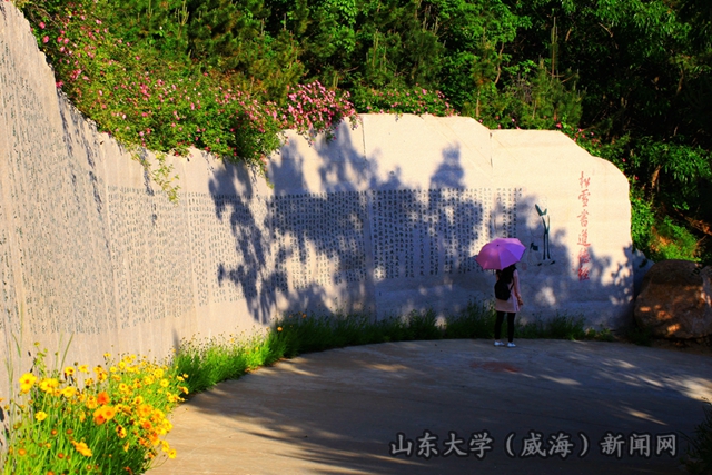 IMG_9473_副本_副本_副本_副本.jpg