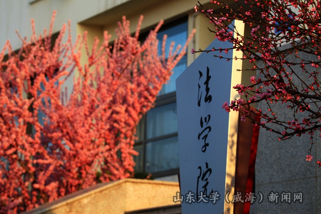 IMG_8696_副本_副本_副本.jpg