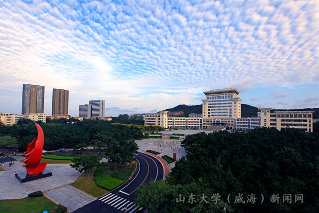 IMG_56041_副本_副本_副本.jpg
